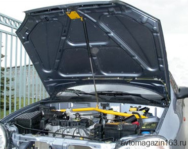 Упор капота Chevrolet Lanos (2005-), Daewoo Lanos (Sens) (1997-2002) на растяжку ТехноМастер